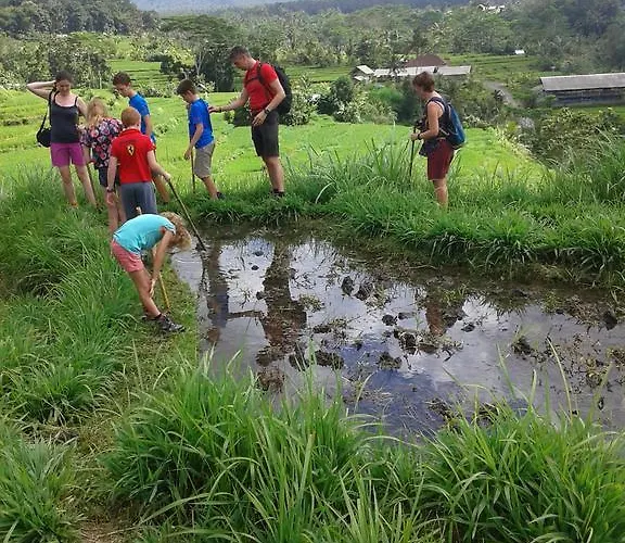 Lembah Dukuh ゲストハウス Karangasem